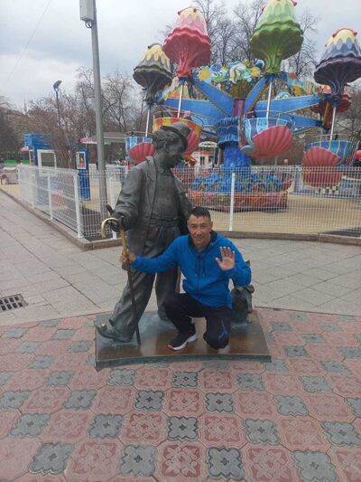  ,   , 51 ,     , c , 