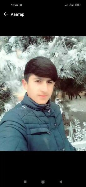  -,   , 29 ,   ,   , c , 