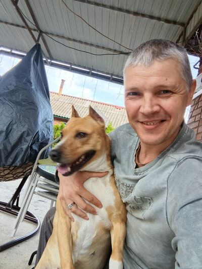  ,   , 41 ,   ,   , c , 