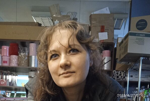  -,   , 40 ,   ,   
