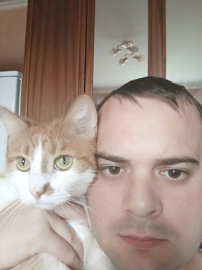  ,   , 38 ,     , c 