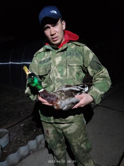 ���������� �����, ���� ������� �����, 34 ����, ������������ ��� ������, ����� � ���������, c�������� ���������