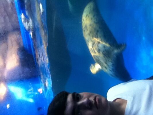  ,   KABAN_0007, 34 ,   ,   , c , 