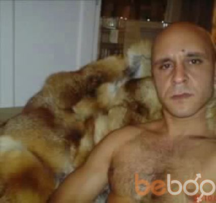  ,   , 46 ,   