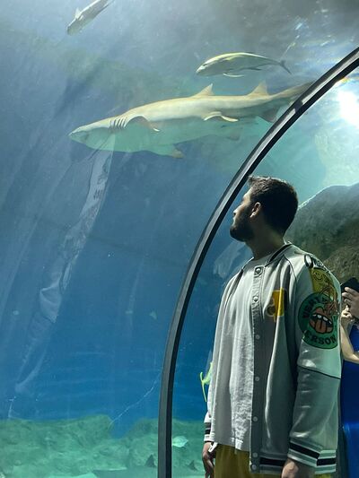  ,   Abdulrhman, 27 ,   ,   , c , 