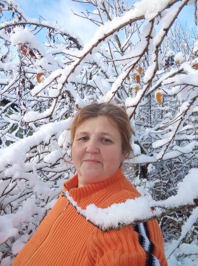   ,   , 49 ,     