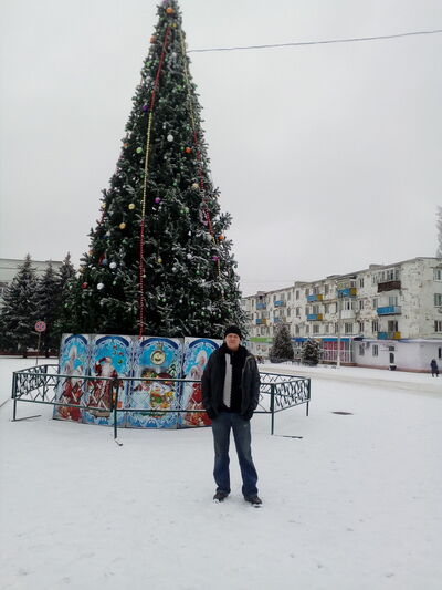 ,   Vova, 41 ,   ,   , c 