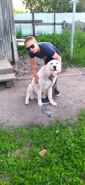  ,   Vladislav, 23 ,   c 