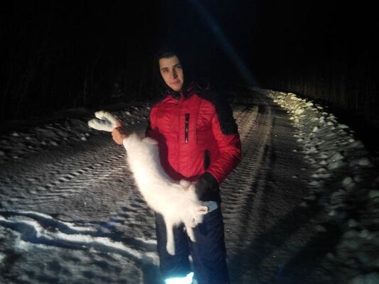  ,   Danil, 34 ,   ,   , c 