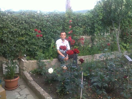  ,   , 46 ,   ,   , c , 