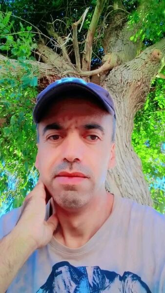  ,    , 37 ,   ,   