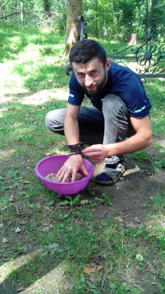  ,   Irakli, 32 ,   ,   , c 