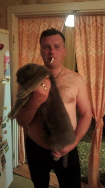   ,   , 44 ,   