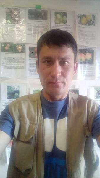  ,   Mahmud, 45 ,   ,   