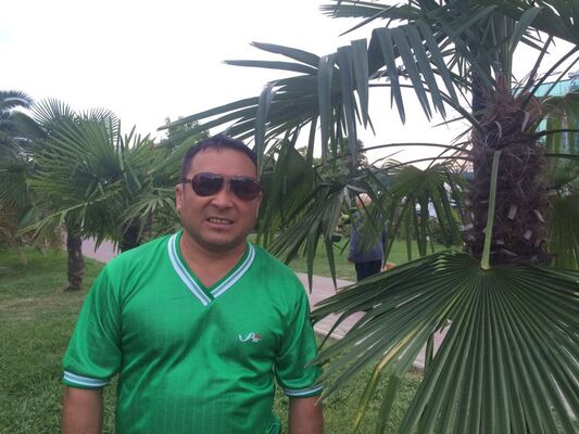  ,   , 55 ,     , c , 