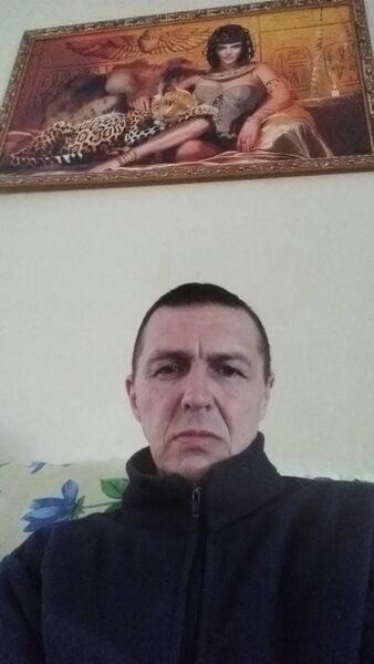  ,   , 51 ,     , c 
