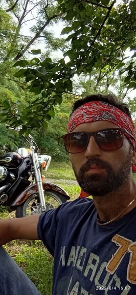  ,   Dal, 38 ,   ,   , c 