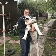  ,   , 61 ,   ,   , 