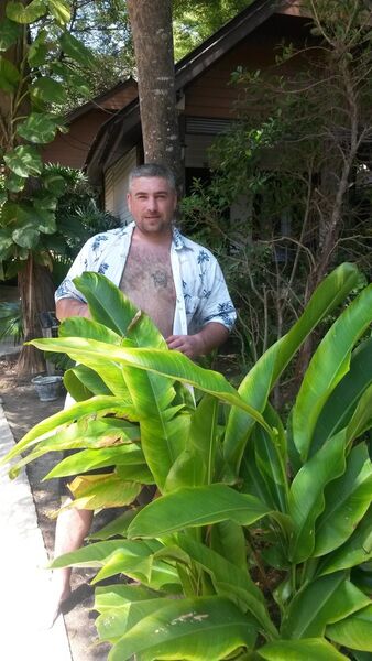  ,   Alexx, 37 ,   ,   , c 