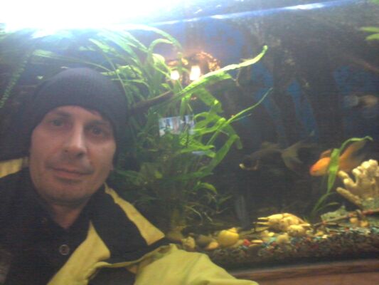  ,   Serj, 46 ,   
