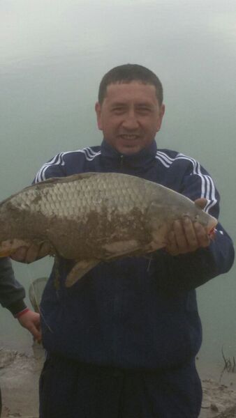  ,   Orif, 43 ,   ,   
