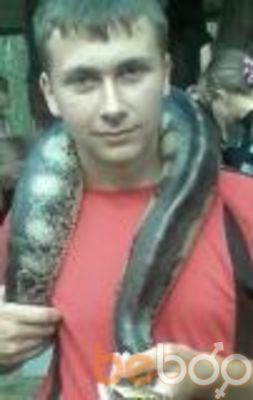  ,   Tema, 31 ,   