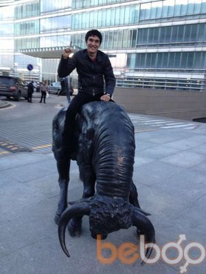 ���������� ������, ���� ������� Amir, 35 ���, ������������ ��� ������, ����� � ���������, c�������� ���������