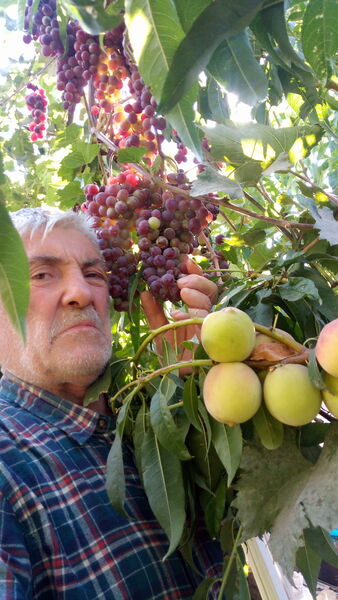  --,   , 65 ,   ,   , 