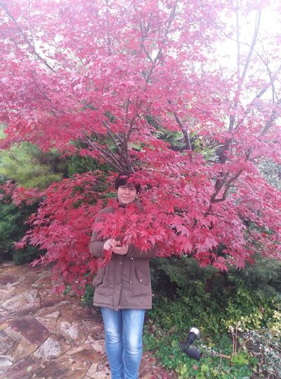  ,   , 53 ,   ,   , c 