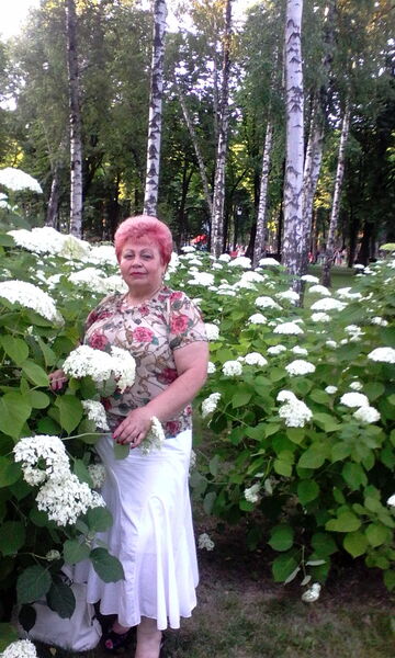  ,   , 66 ,   ,   , c 