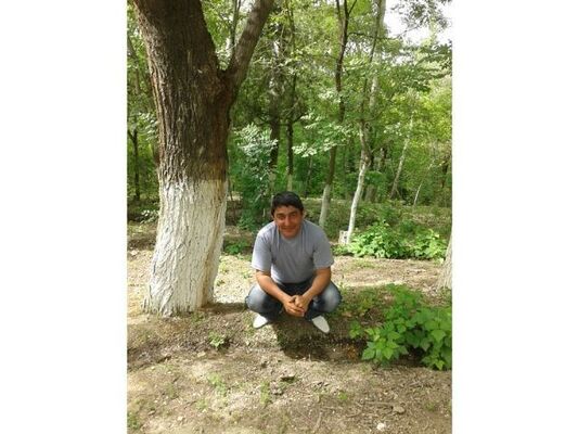  ,   , 46 ,   