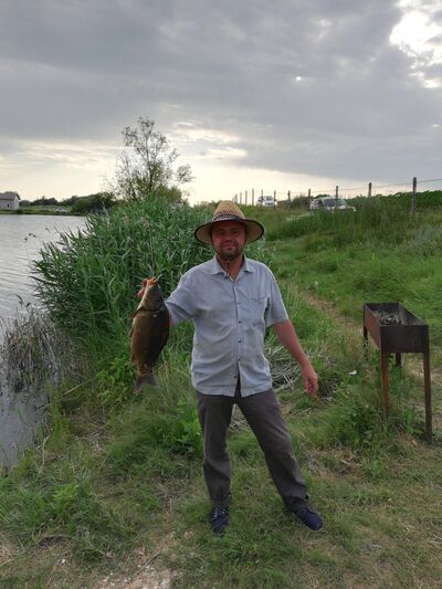   ,   FIN, 43 ,   ,   