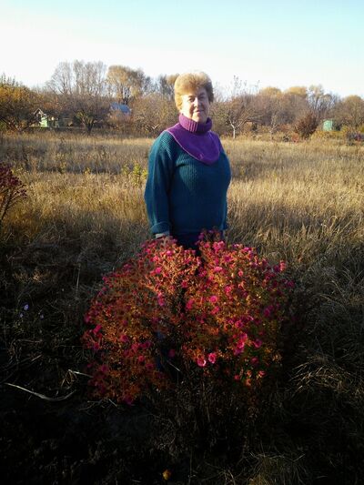  ,   , 71 ,   ,   , c 