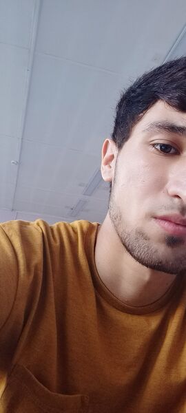   ,   , 21 ,     