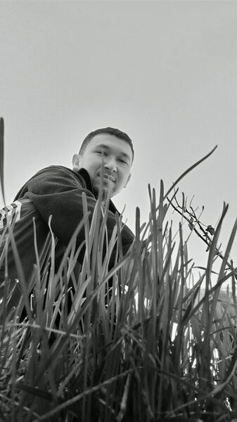 ,   Nurbergen, 38 ,   ,   , c , 