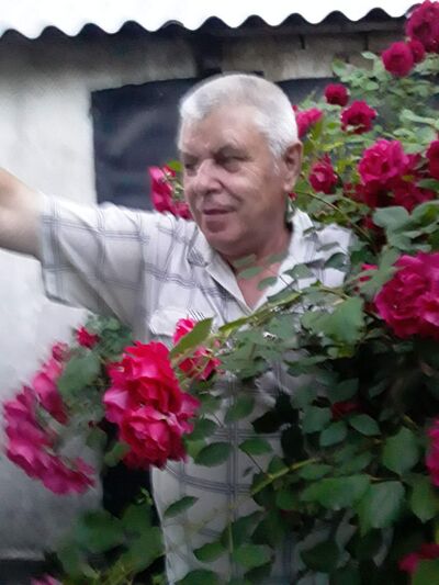  ,   , 65 ,   ,   , c 