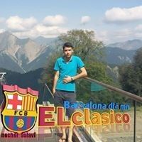  ,   Varis, 31 ,   ,   , c 