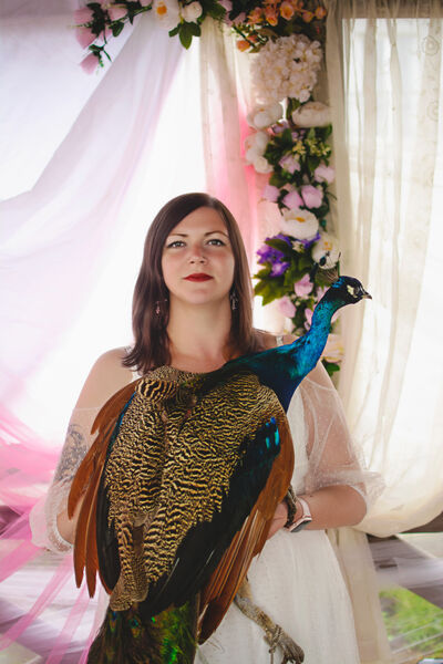 ���������� �����, ���� ������� �����, 36 ���, ������������ ��� ������, ����� � ���������, c�������� ���������, ���������