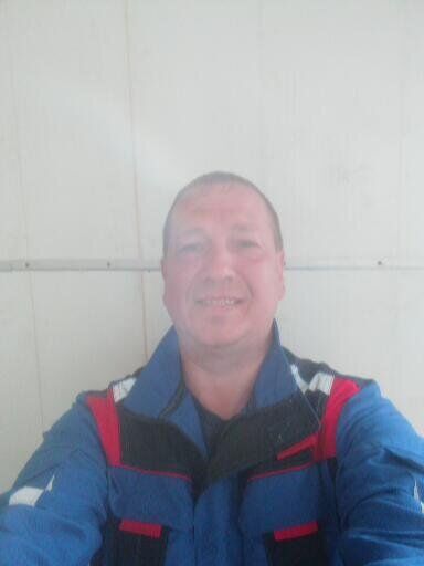  39636082  , 50 ,    
