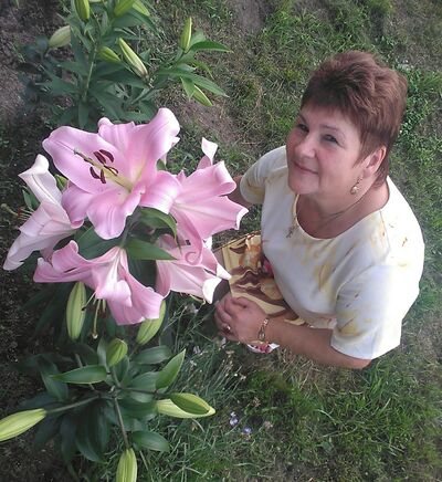  ,   , 65 ,   ,   , c 