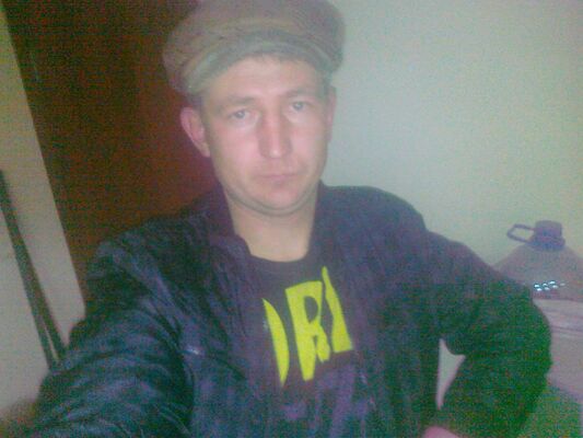   ,   , 41 ,   