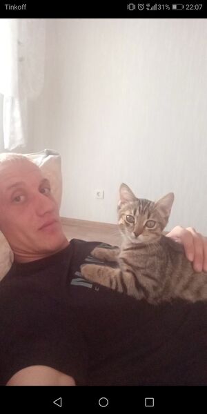  ,   , 31 ,     , c , 