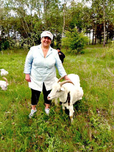  ,   , 61 ,   ,   , c 