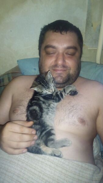  ,   , 43 ,   ,   
