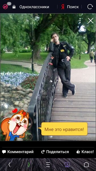  -,   , 51 ,   ,   