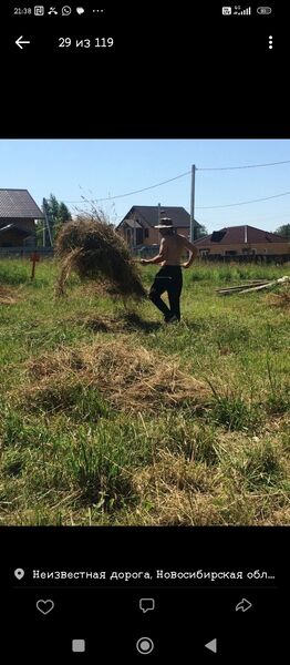  ,   Aleksandr, 45 ,   ,   
