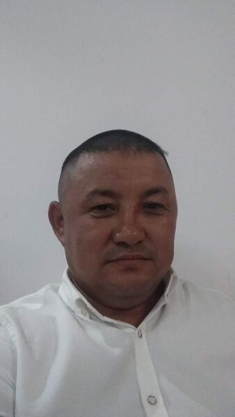  ,   , 41 ,   c 