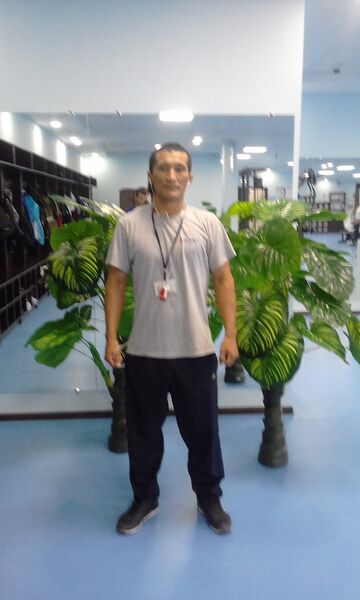  ,   , 37 ,     , c , 