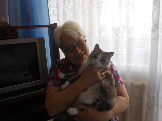  ,   , 73 ,   ,   , c 