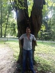 ,   , 53 ,   